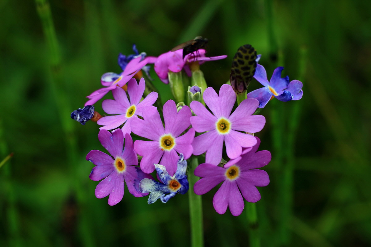 2015_06_10_001273p_Bildgr��e �ndern