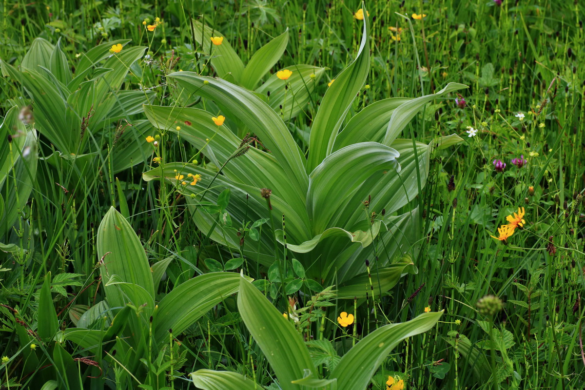 2015_06_10_001280p_Bildgr��e �ndern