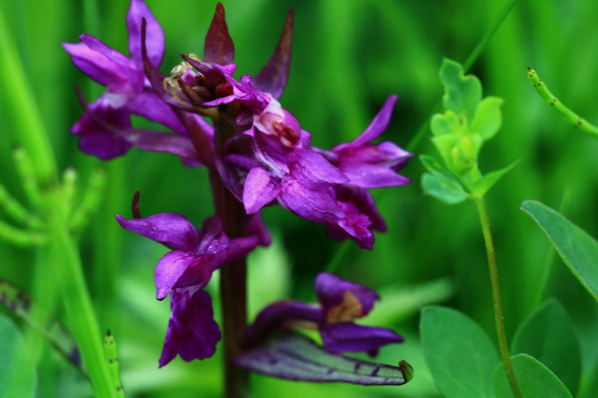 2015_06_10_001294p_Bildgr��e �ndern