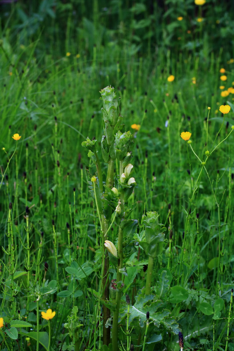 2015_06_10_001302p_Bildgr��e �ndern