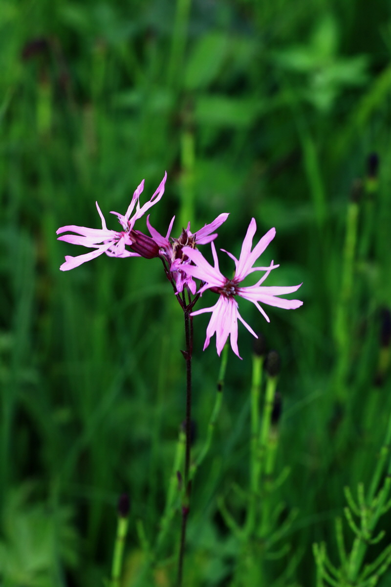 2015_06_10_001310p_Bildgr��e �ndern