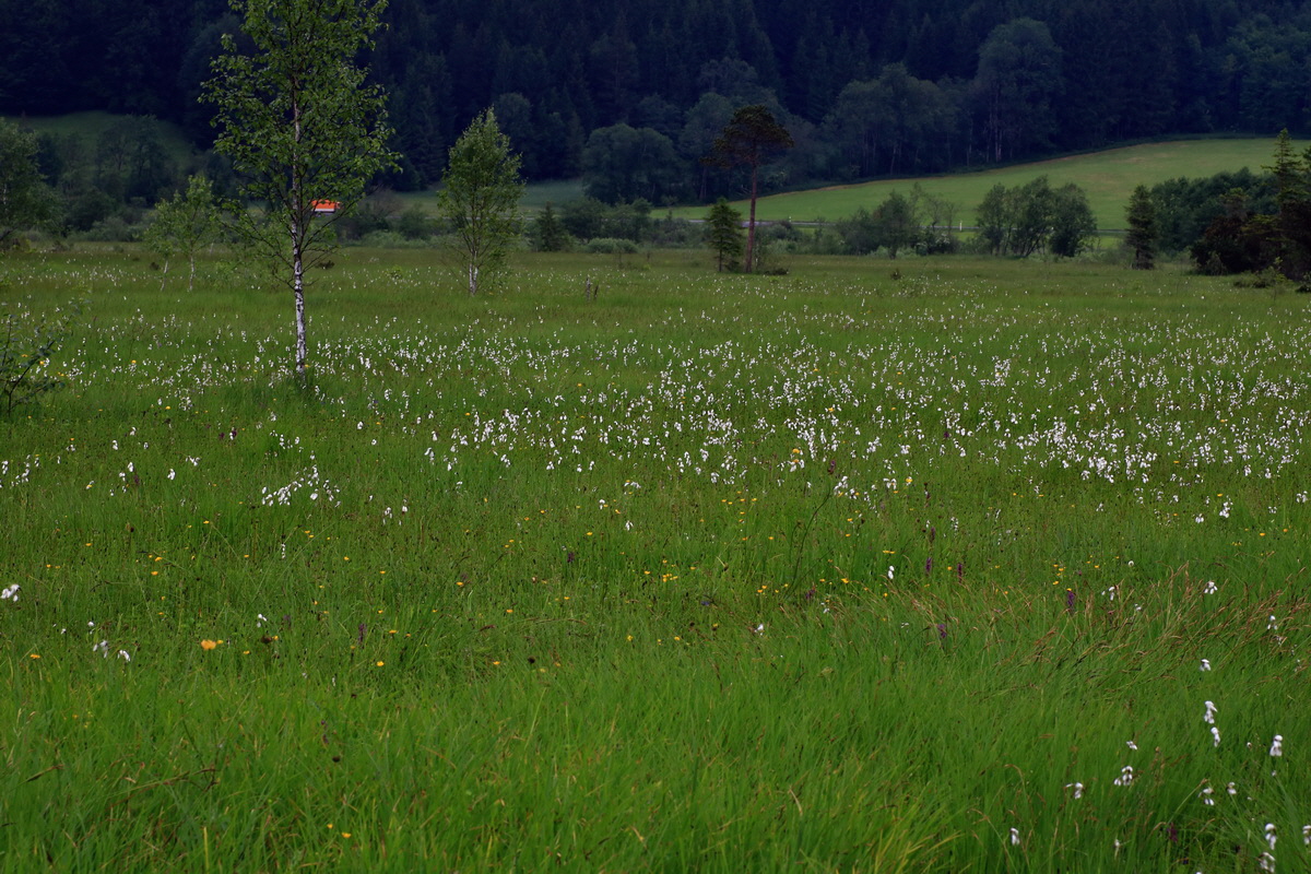 2015_06_10_001326p_Bildgr��e �ndern