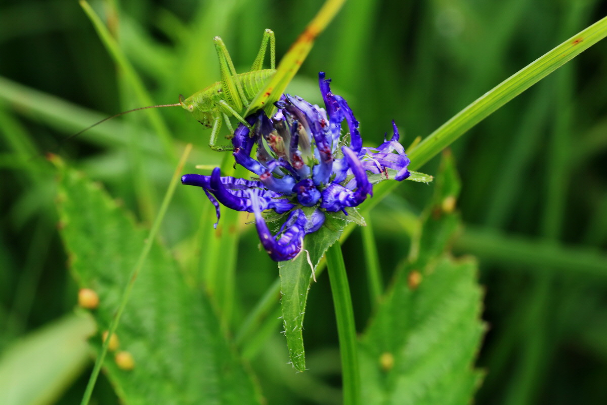 2015_06_10_001329p_Bildgr��e �ndern