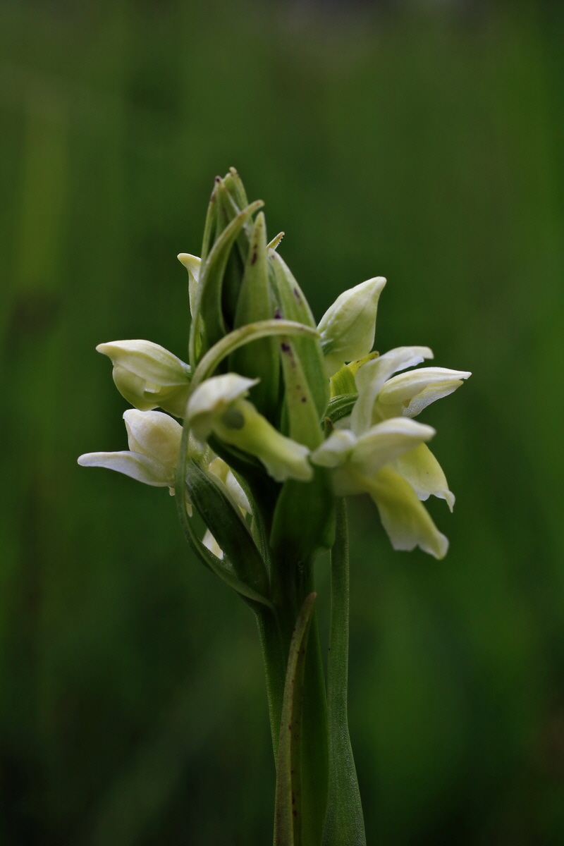 2015_06_10_001336p_Bildgr��e �ndern