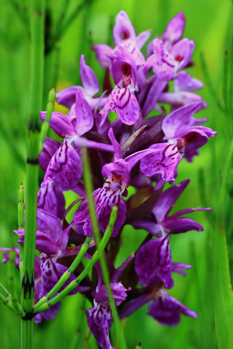 2015_06_10_001344p_Bildgr��e �ndern