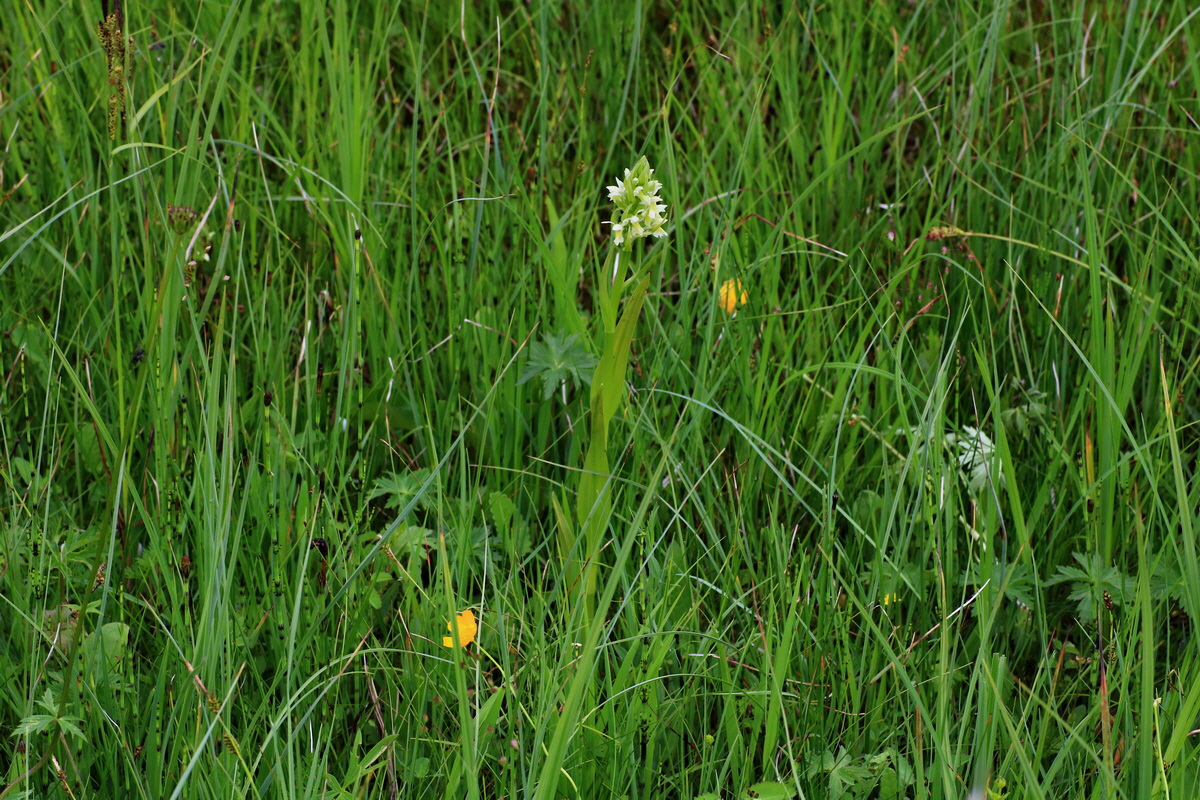 2015_06_10_001348p_Bildgr��e �ndern