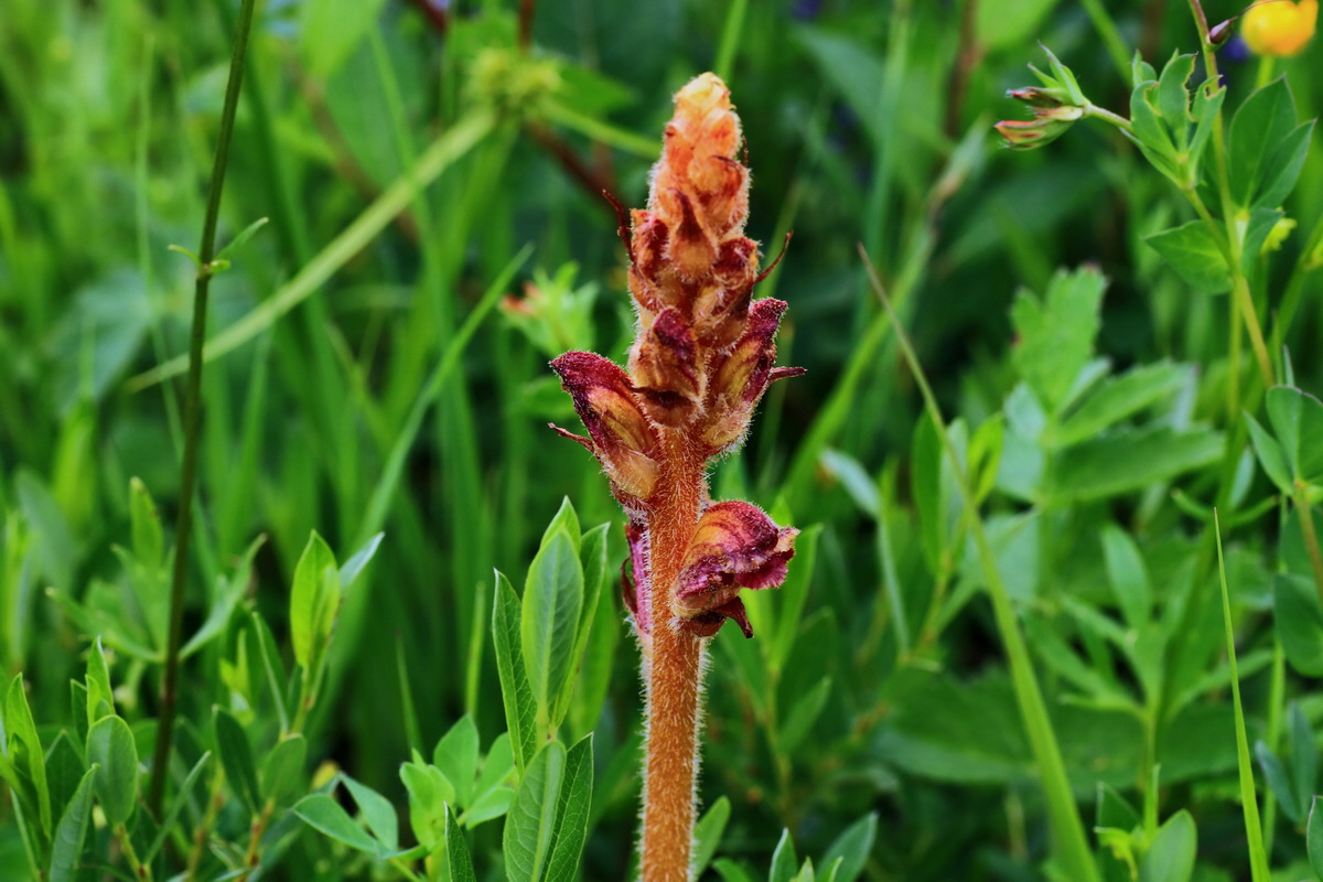 2015_06_10_001350p_Bildgr��e �ndern