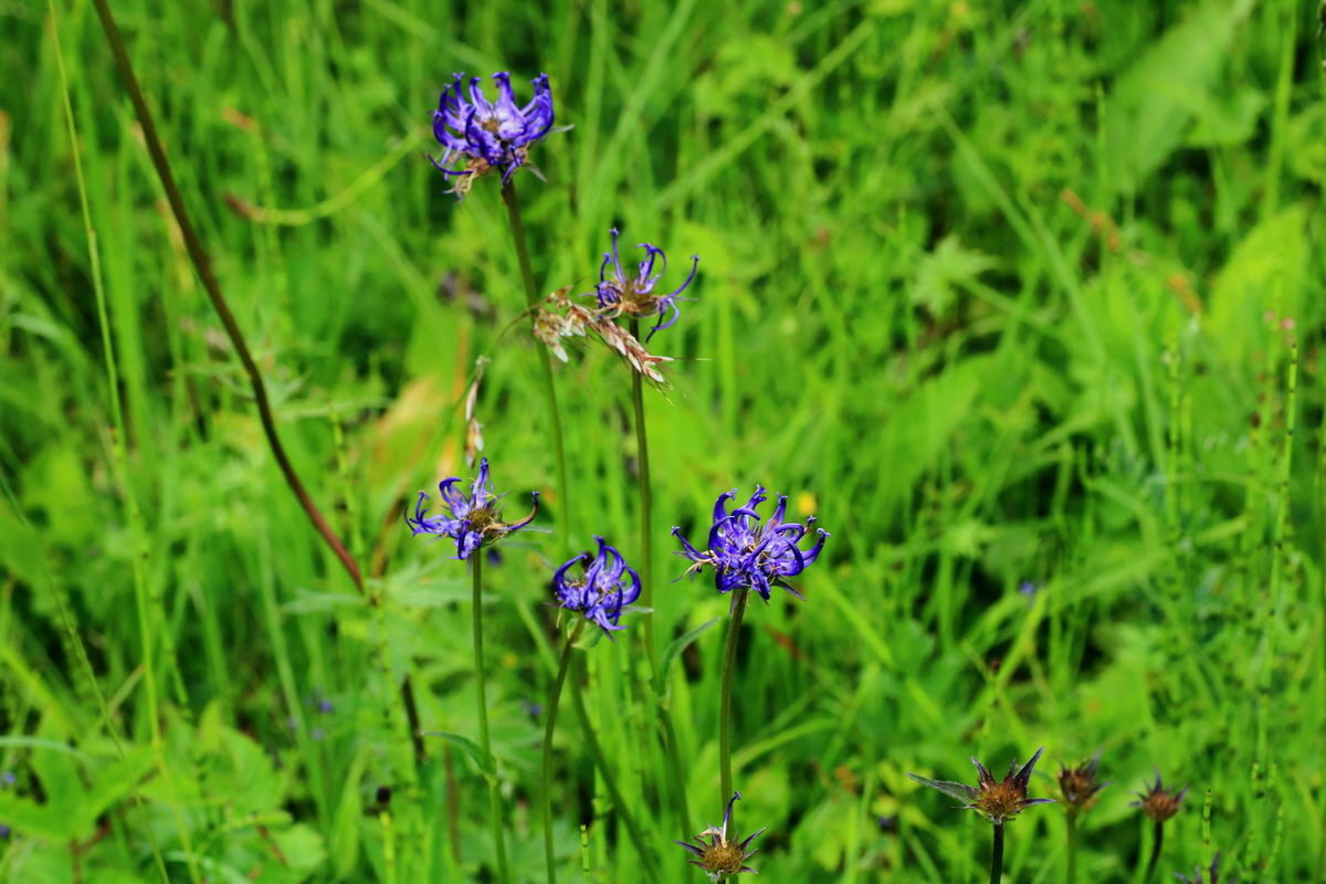 2015_06_10_001355p_Bildgr��e �ndern