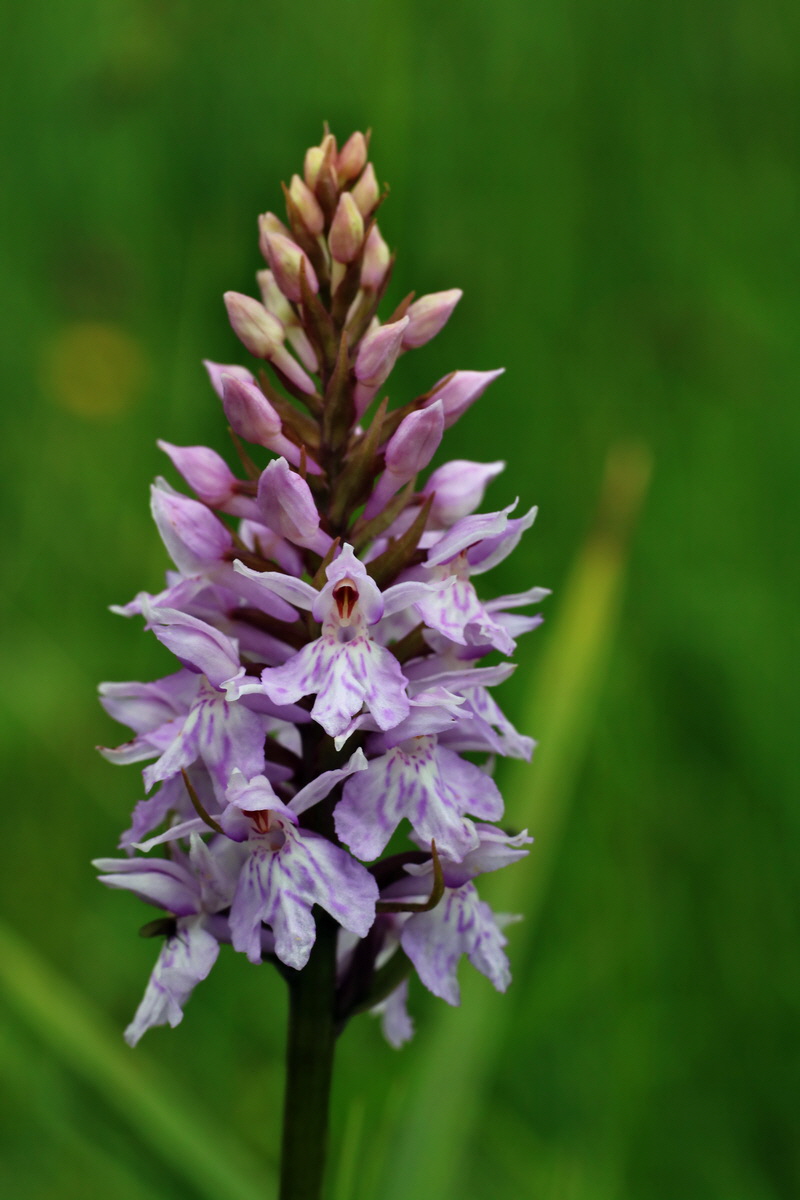 2015_06_10_001361p_Bildgr��e �ndern