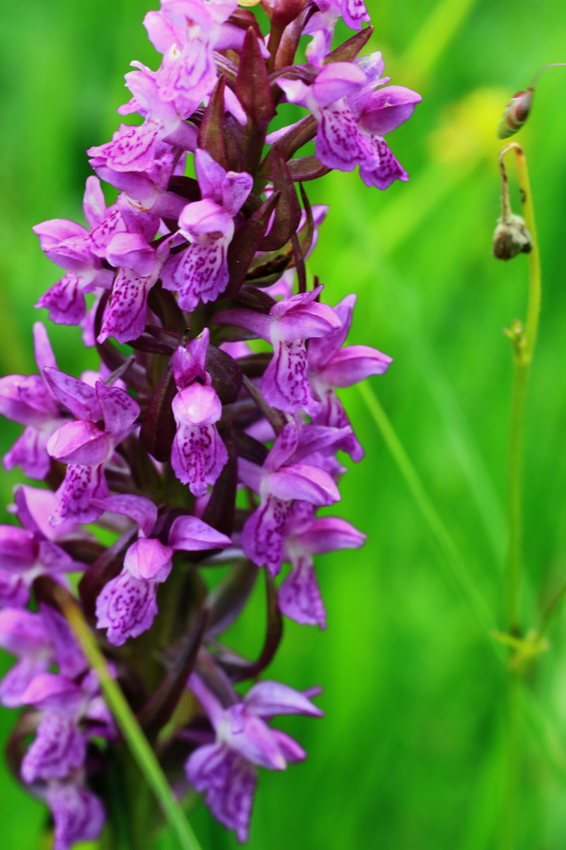 2015_06_10_001365p_Bildgr��e �ndern