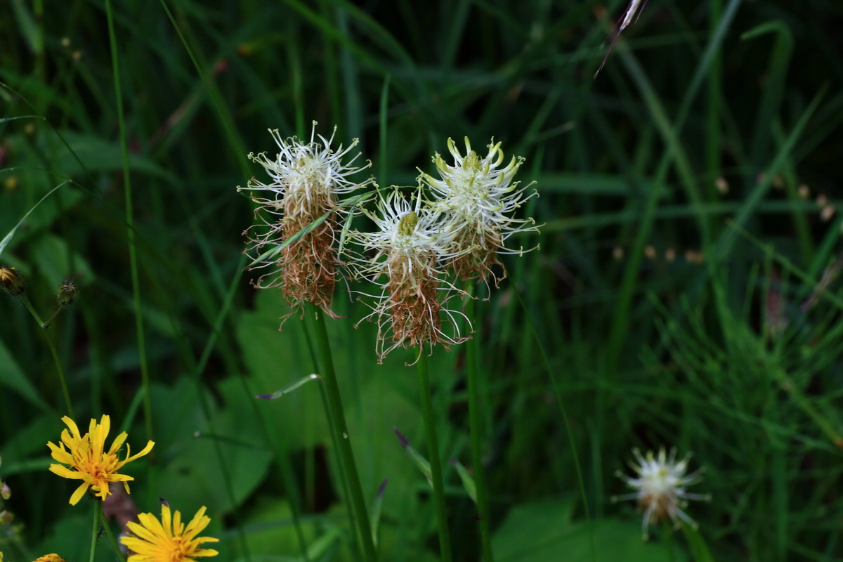 2015_06_10_001389p_Bildgr��e �ndern