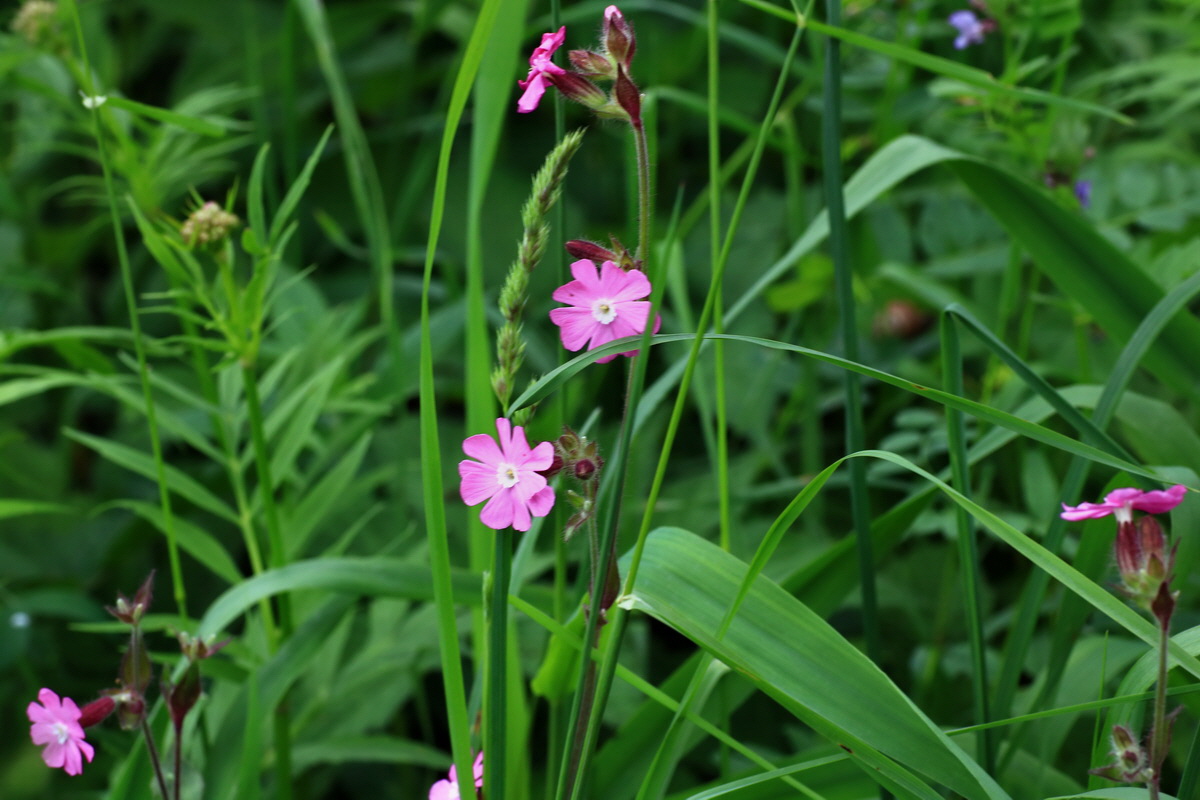 2015_06_10_001391p_Bildgr��e �ndern