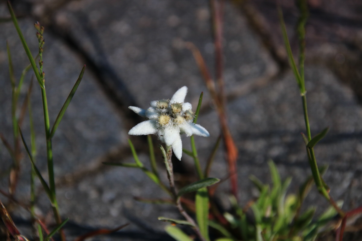 2015_06_11_001425_Bildgr��e �ndern