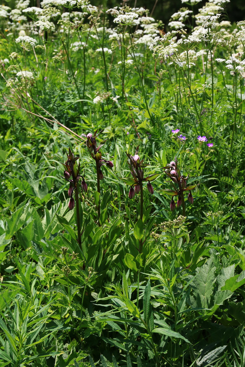 2015_06_11_001485_Bildgr��e �ndern