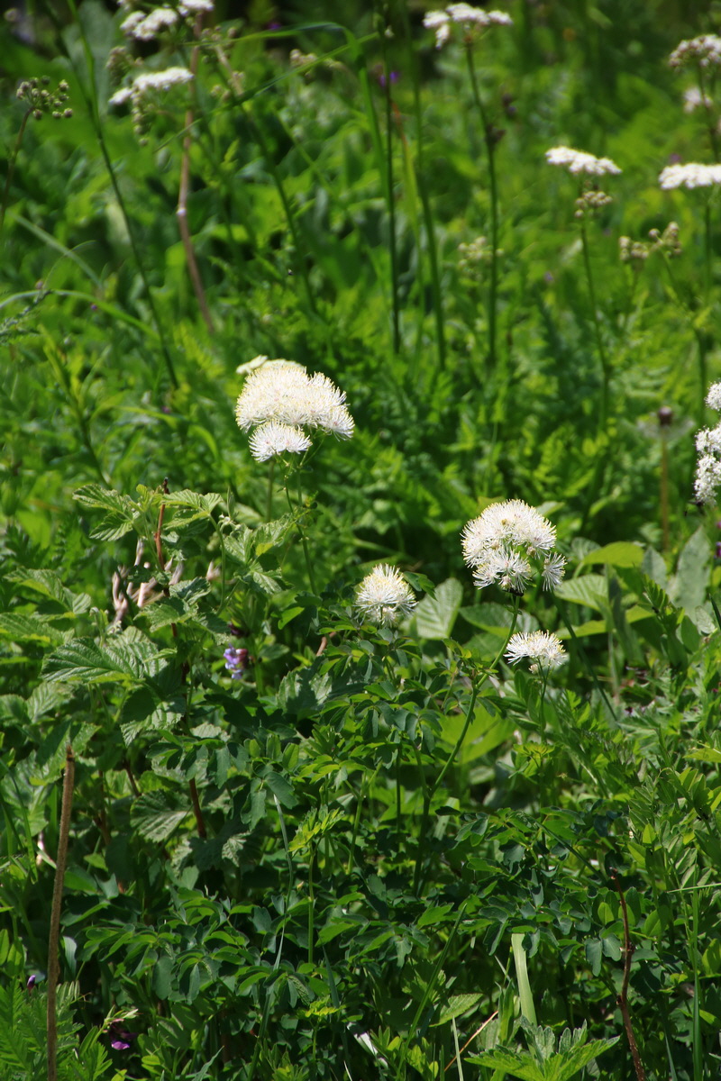 2015_06_11_001491_Bildgr��e �ndern