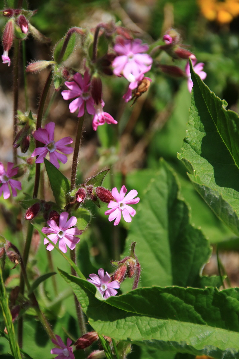 2015_06_11_001511_Bildgr��e �ndern