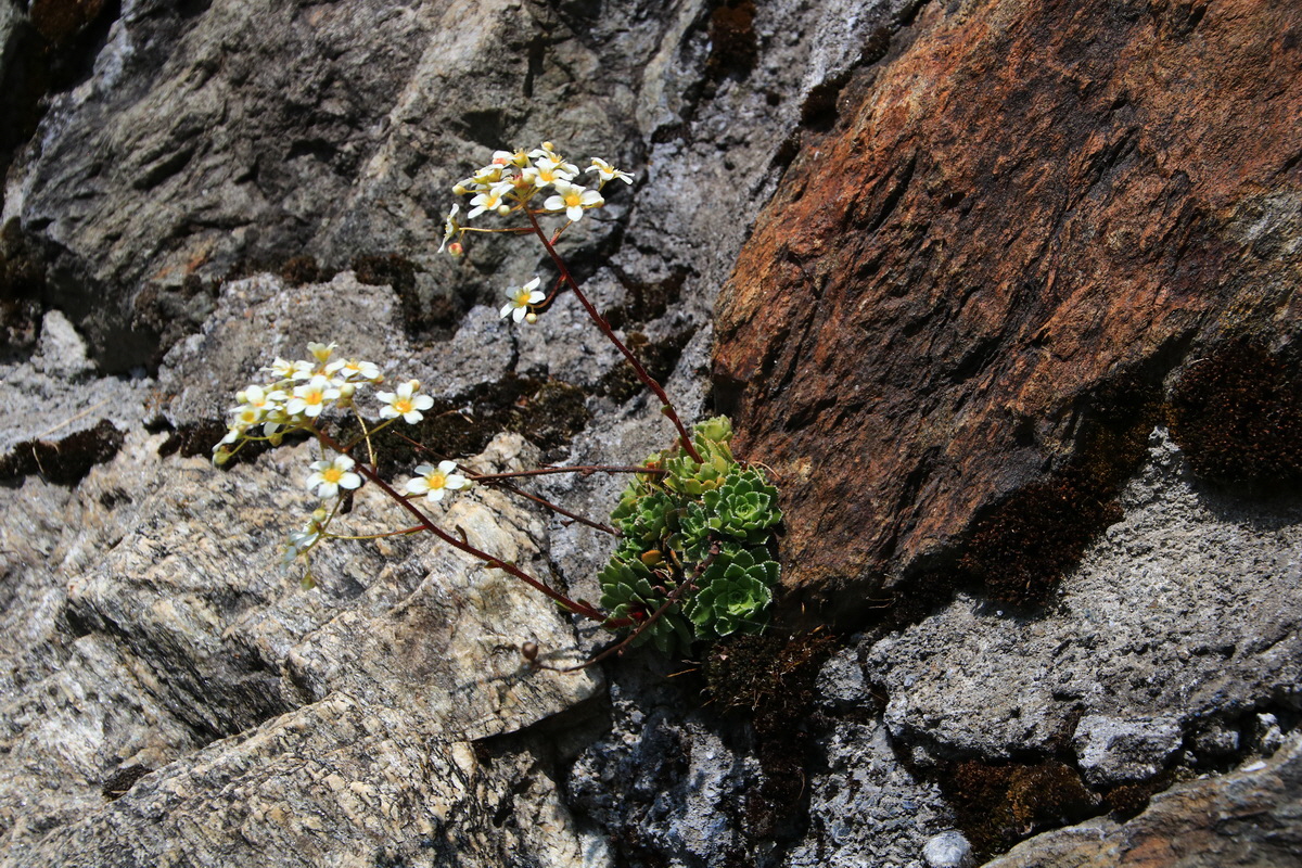 2015_06_11_001520_Bildgr��e �ndern