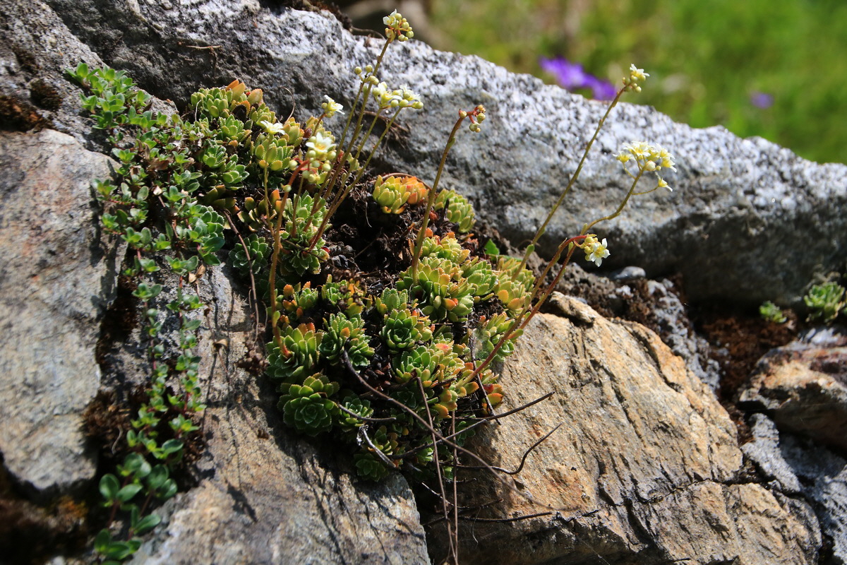 2015_06_11_001523_Bildgr��e �ndern