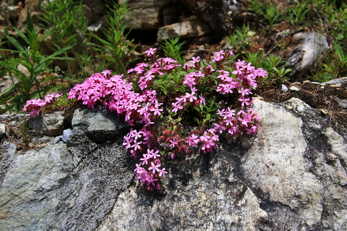 2015_06_11_001528_Bildgr��e �ndern