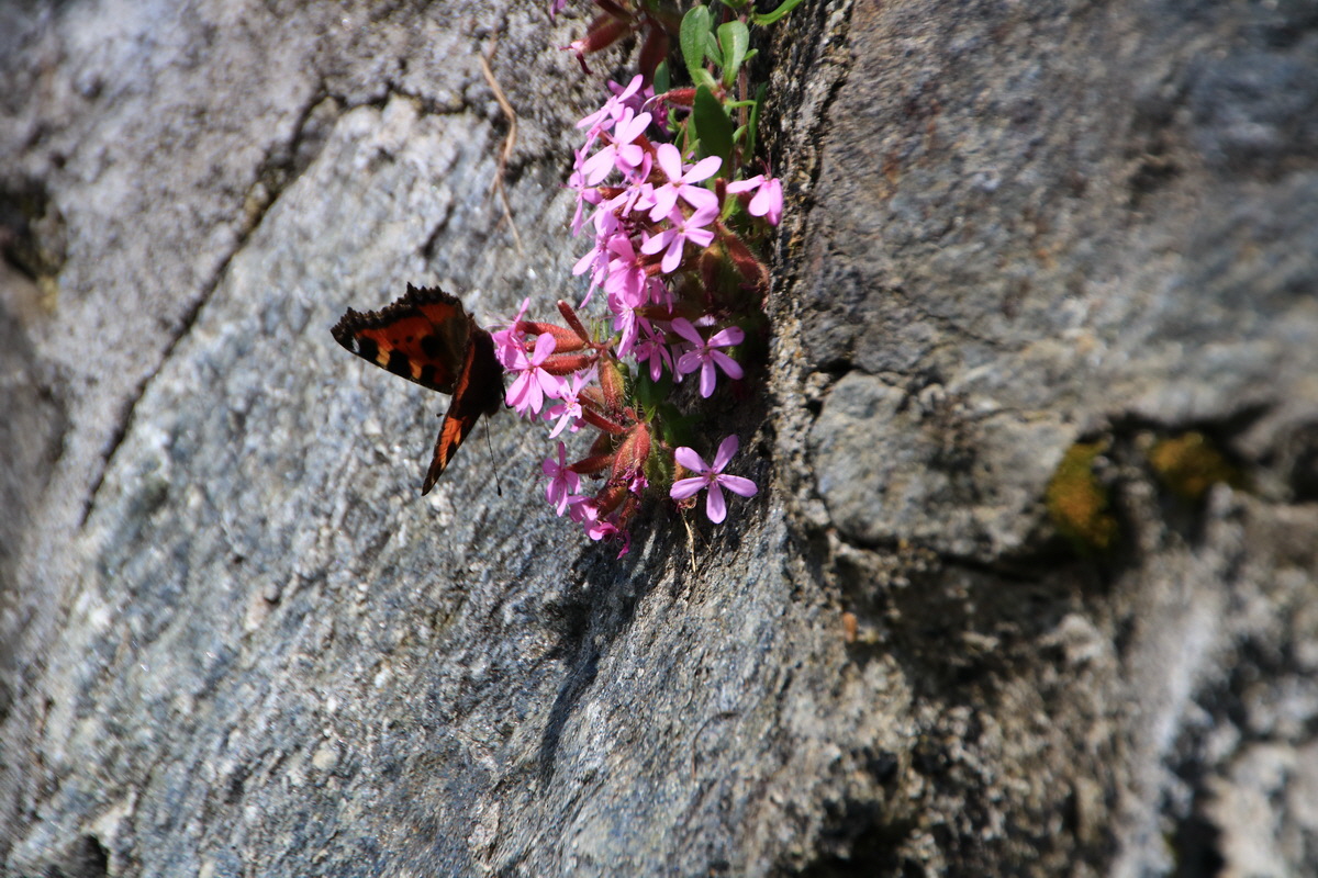 2015_06_11_001530_Bildgr��e �ndern