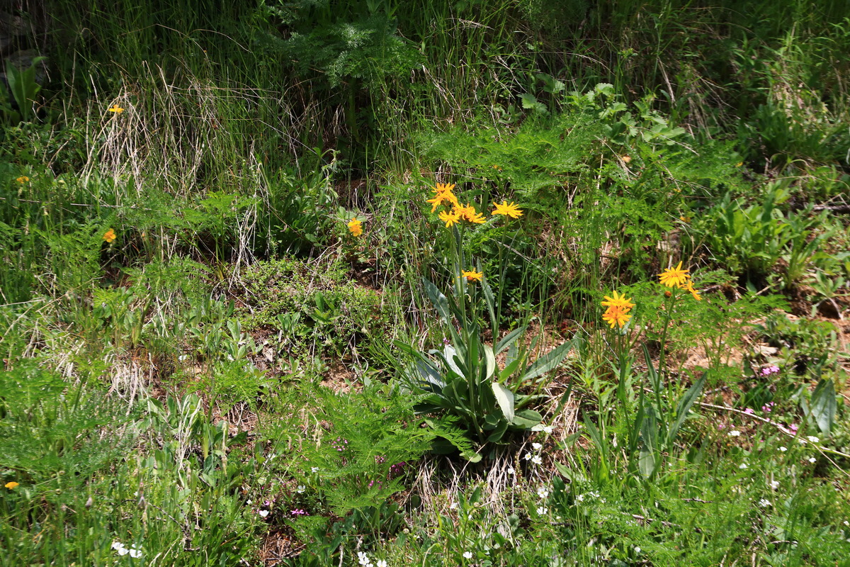 2015_06_11_001548_Bildgr��e �ndern