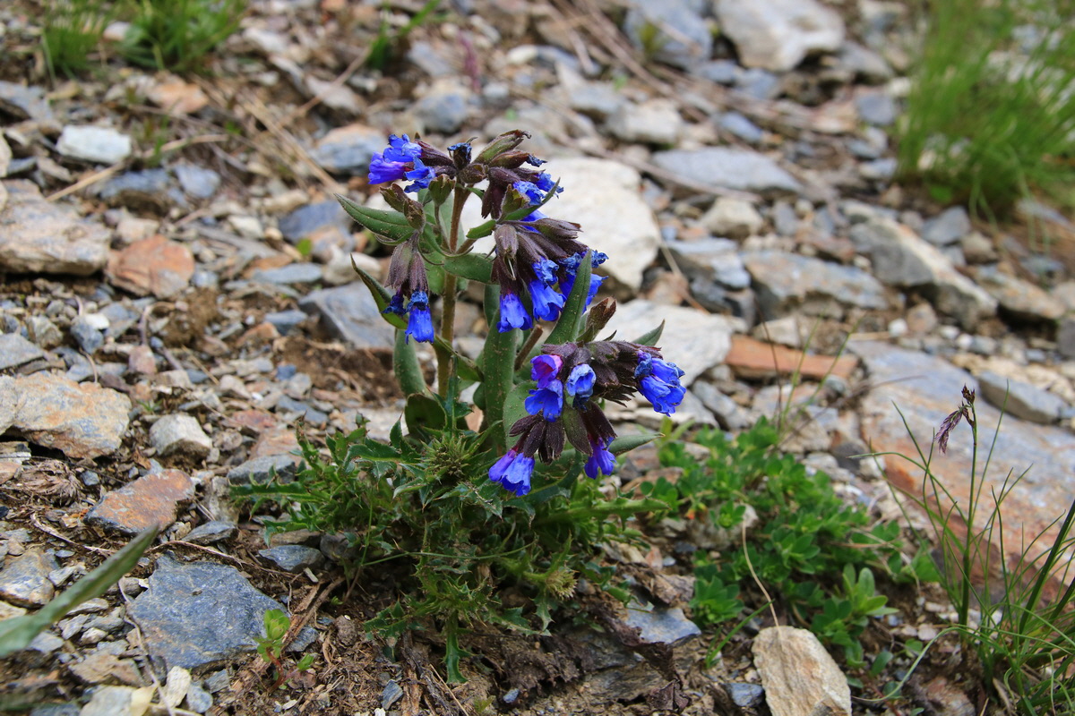 2015_06_11_001557_Bildgr��e �ndern