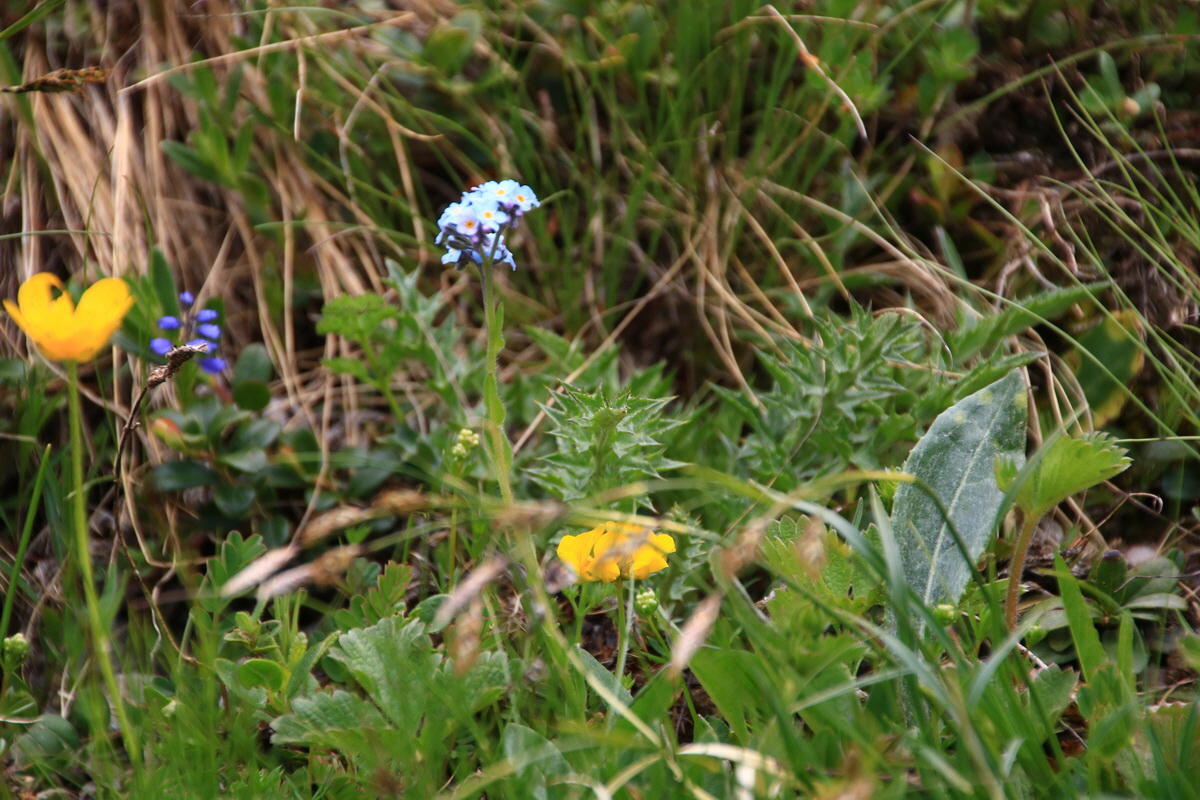 2015_06_11_001585_Bildgr��e �ndern