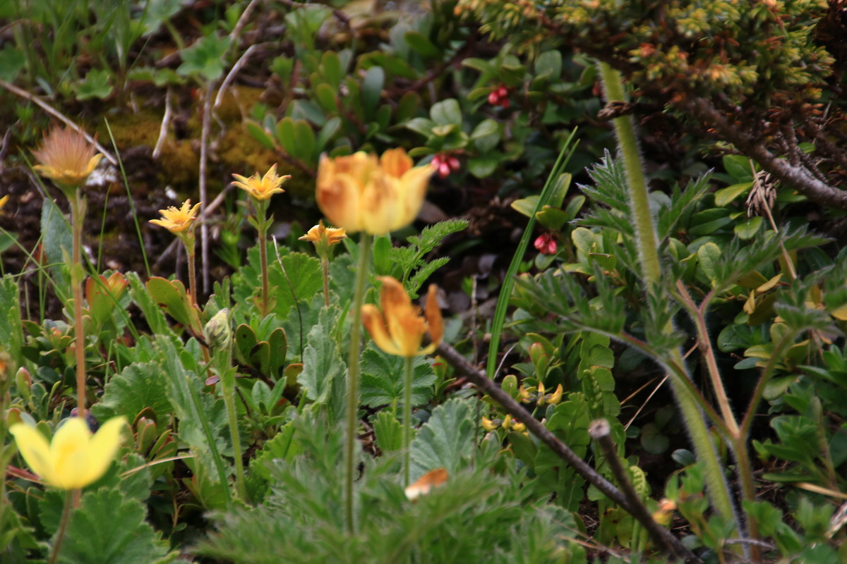 2015_06_11_001587_Bildgr��e �ndern