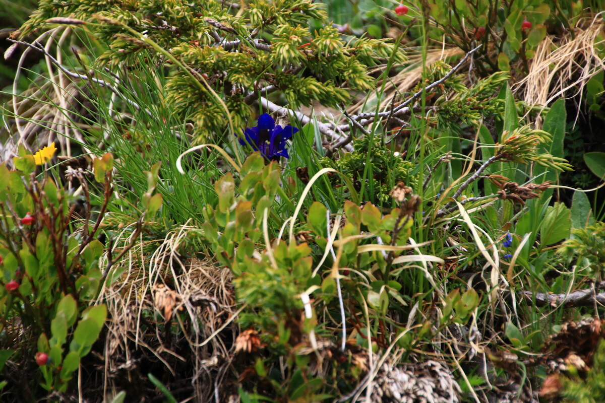 2015_06_11_001589_Bildgr��e �ndern