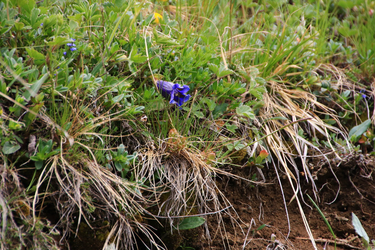 2015_06_11_001590_Bildgr��e �ndern