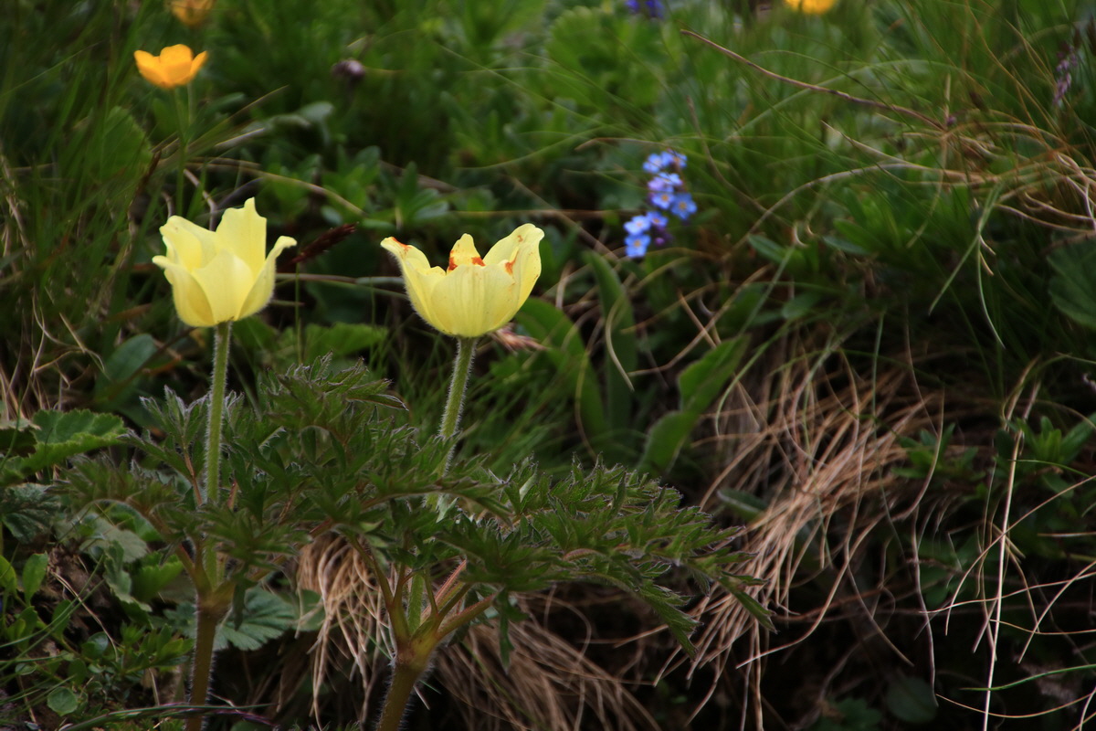 2015_06_11_001592_Bildgr��e �ndern