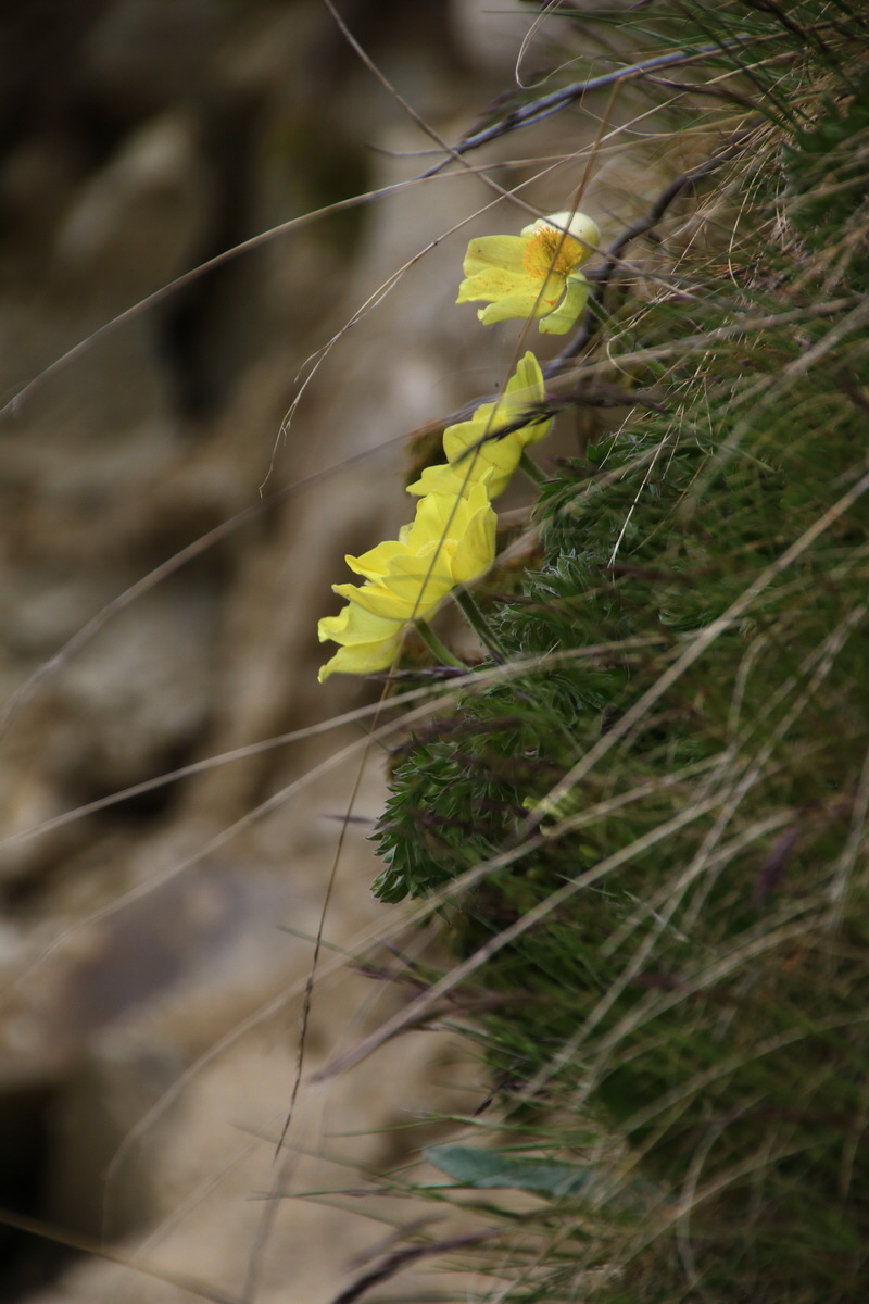 2015_06_11_001596_Bildgr��e �ndern