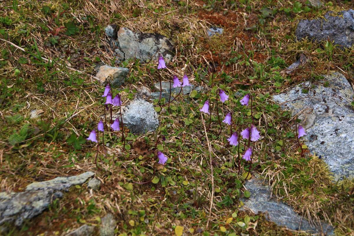 2015_06_11_001623_Bildgr��e �ndern