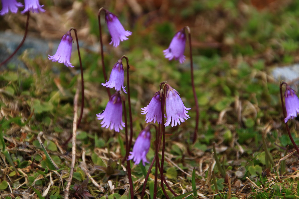 2015_06_11_001627_Bildgr��e �ndern