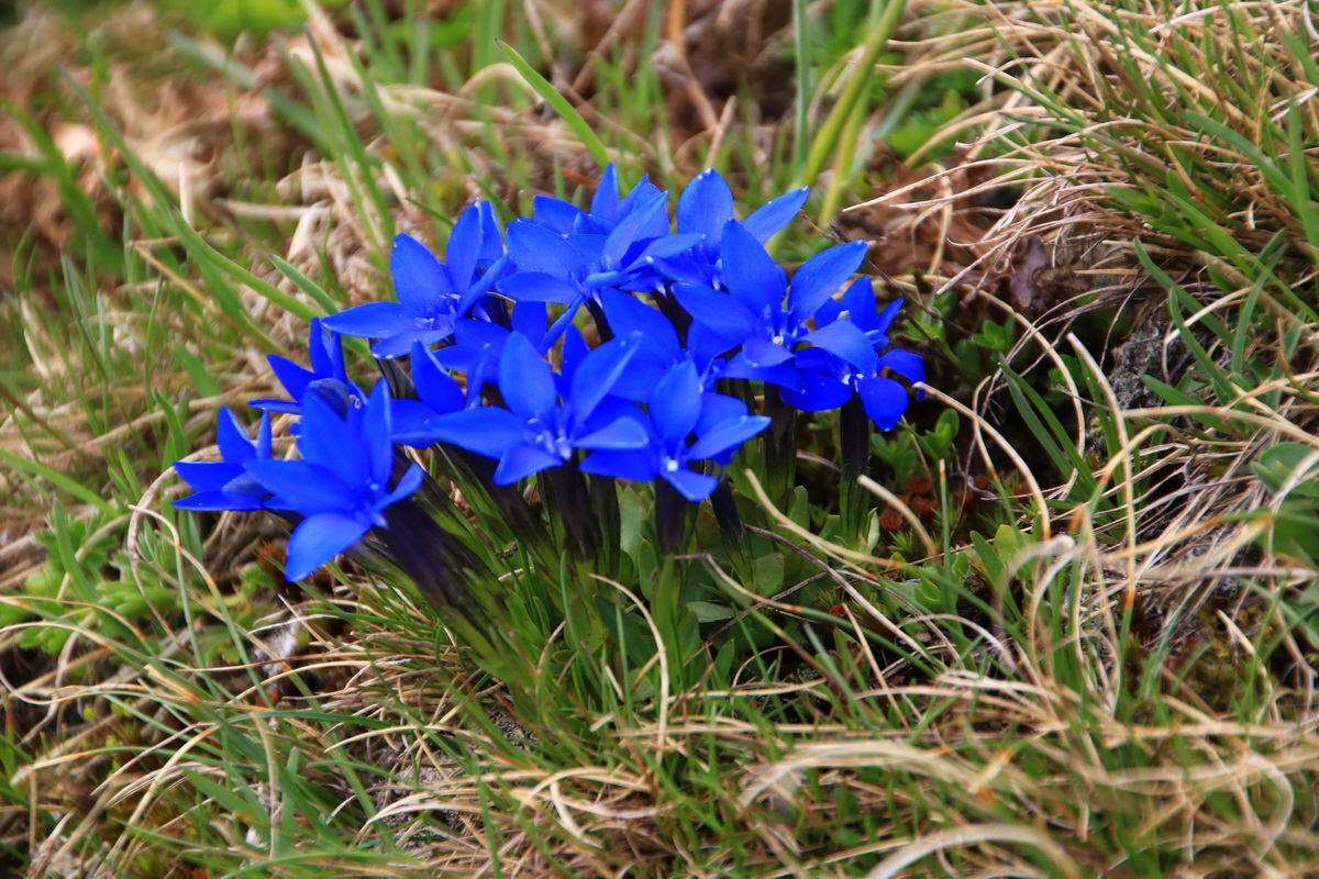 2015_06_11_001633_Bildgr��e �ndern