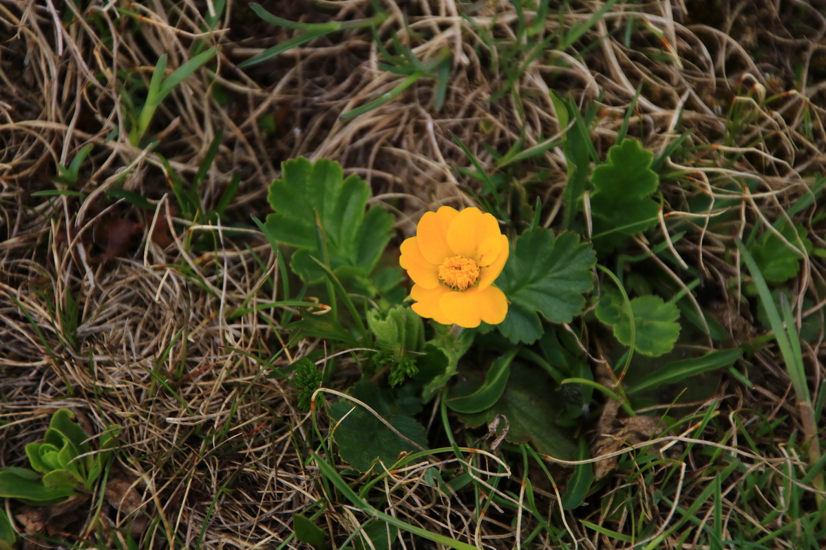 2015_06_11_001636_Bildgr��e �ndern