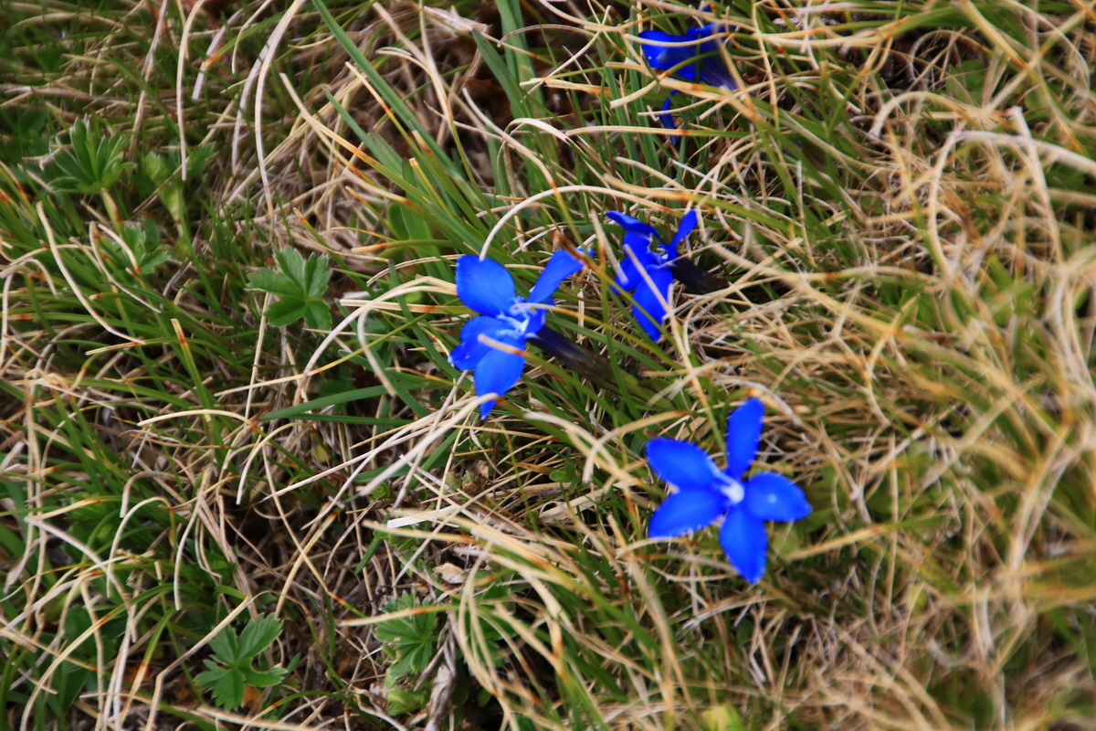 2015_06_11_001639_Bildgr��e �ndern