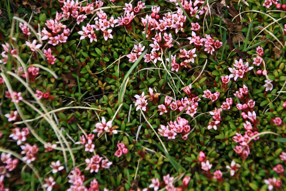 2015_06_11_001646_Bildgr��e �ndern