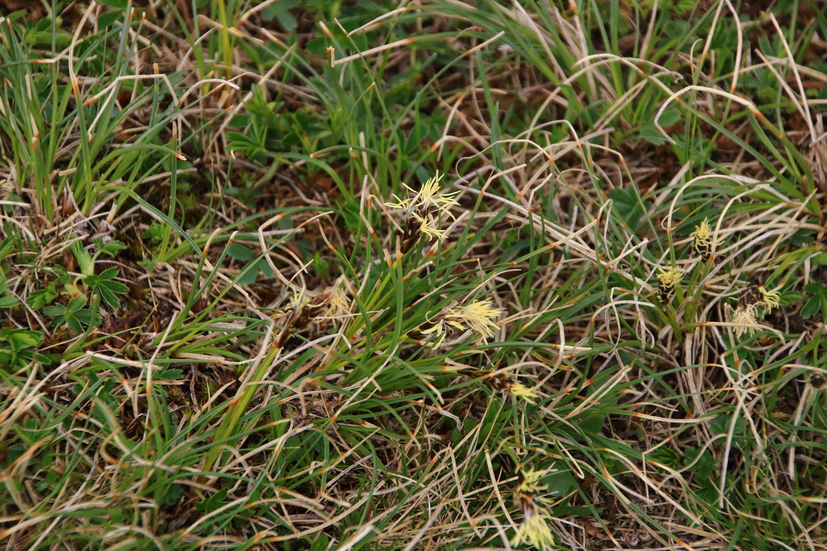 2015_06_11_001651_Bildgr��e �ndern