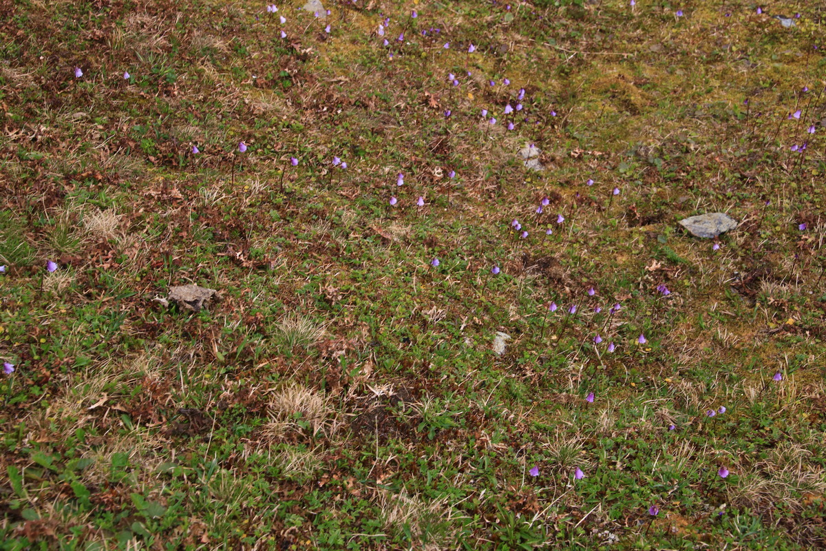 2015_06_11_001655_Bildgr��e �ndern