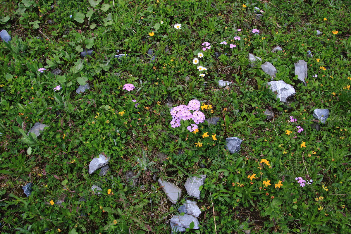 2015_06_11_001658_Bildgr��e �ndern