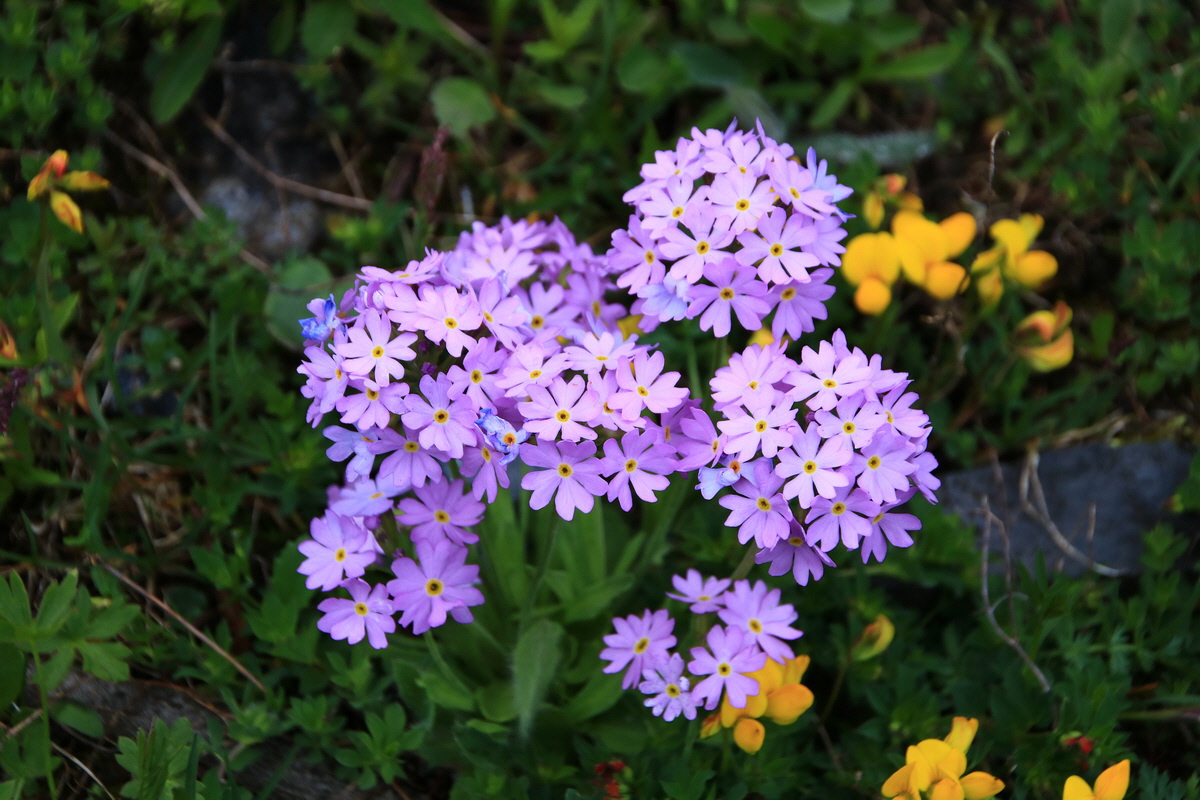 2015_06_11_001661_Bildgr��e �ndern