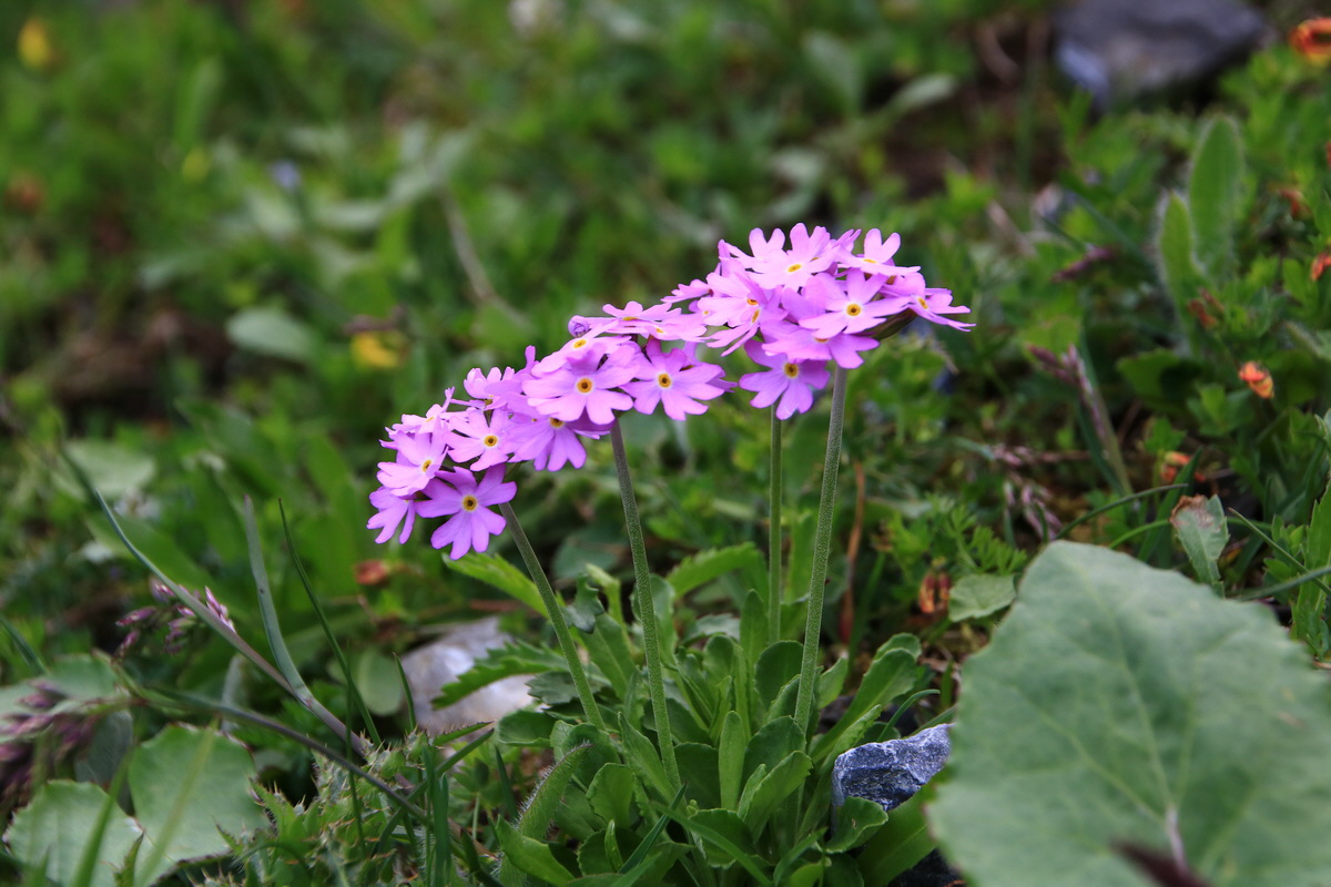 2015_06_11_001667_Bildgr��e �ndern