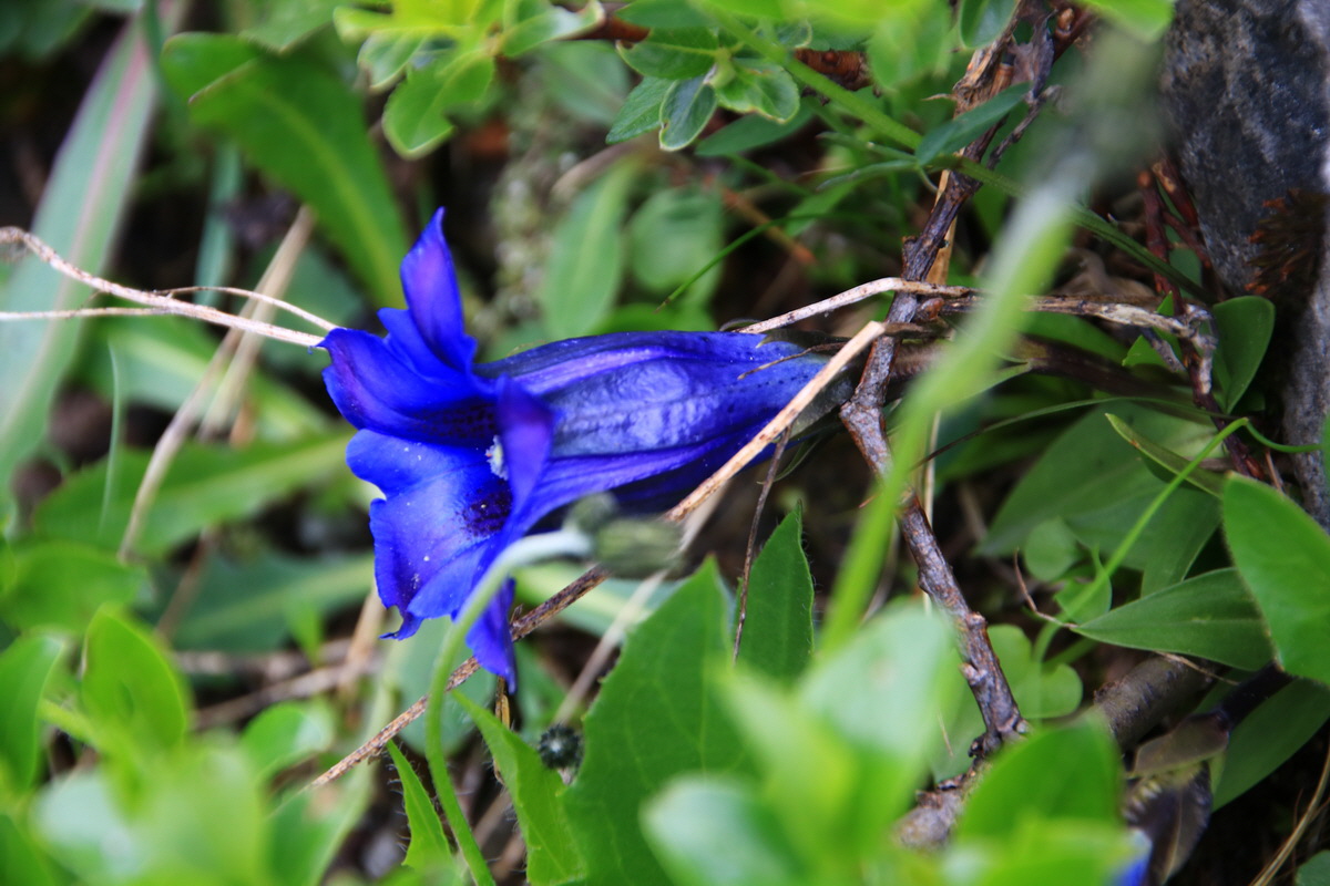 2015_06_11_001672_Bildgr��e �ndern