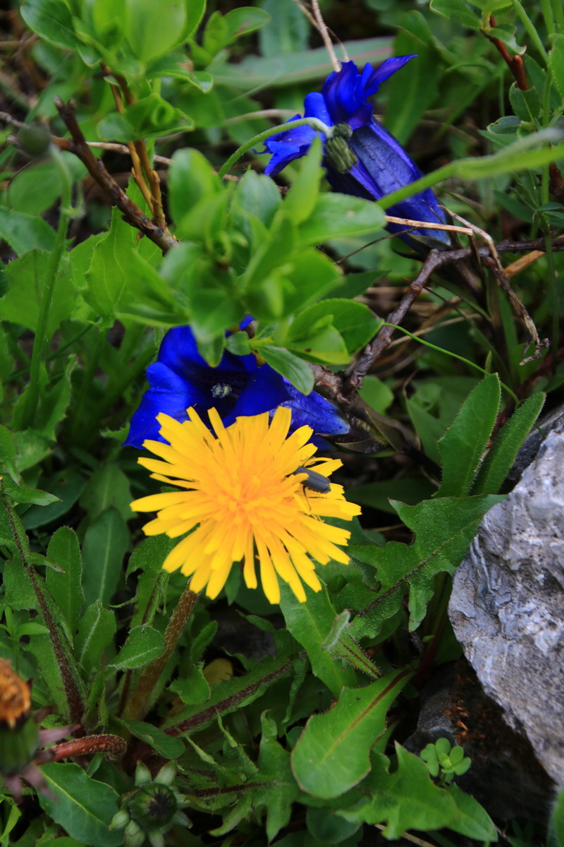 2015_06_11_001676_Bildgr��e �ndern