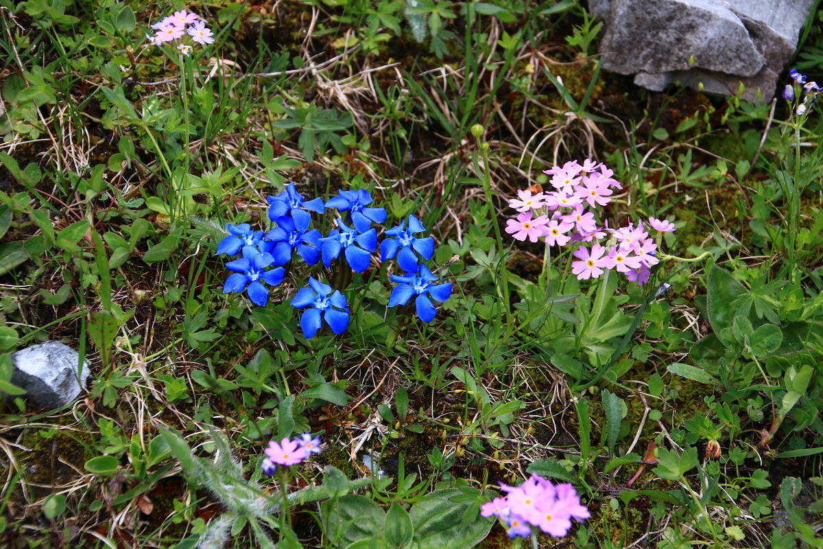 2015_06_11_001681_Bildgr��e �ndern