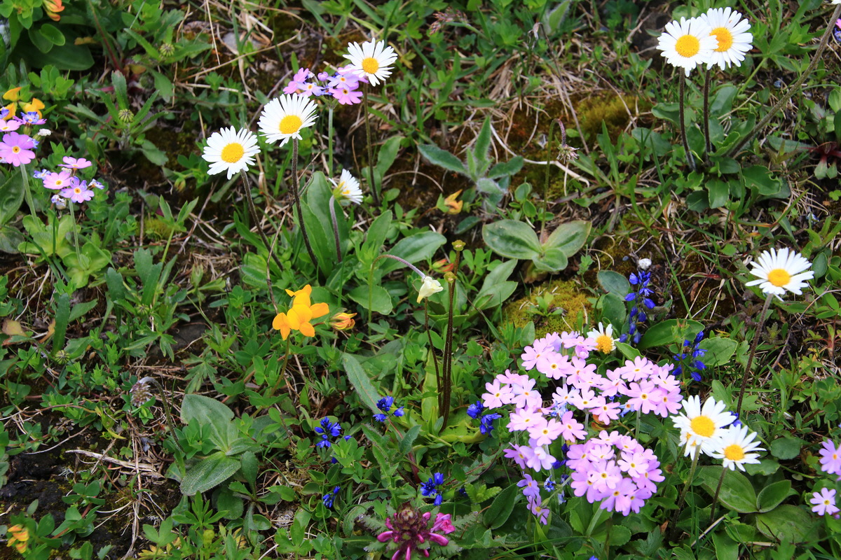 2015_06_11_001685_Bildgr��e �ndern