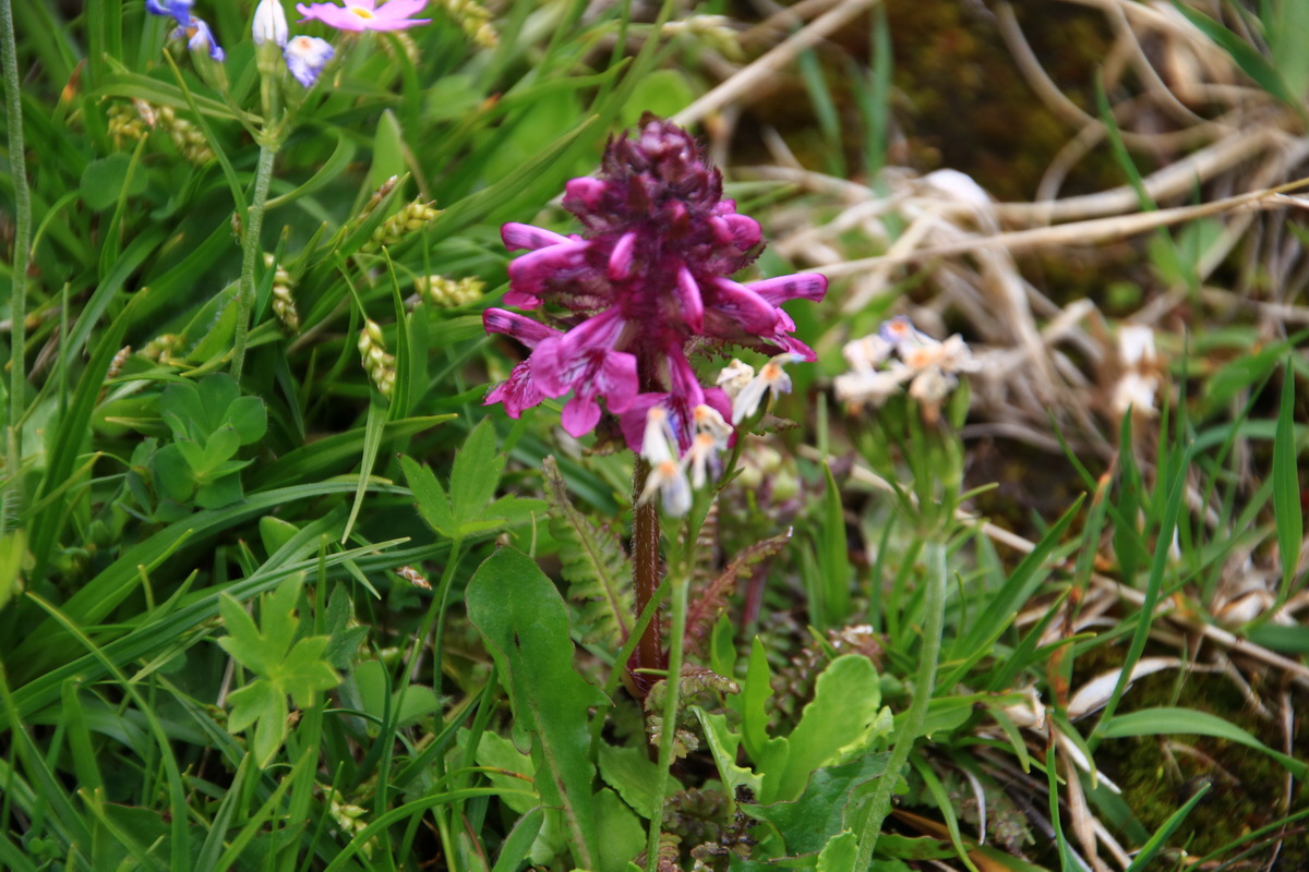 2015_06_11_001689_Bildgr��e �ndern