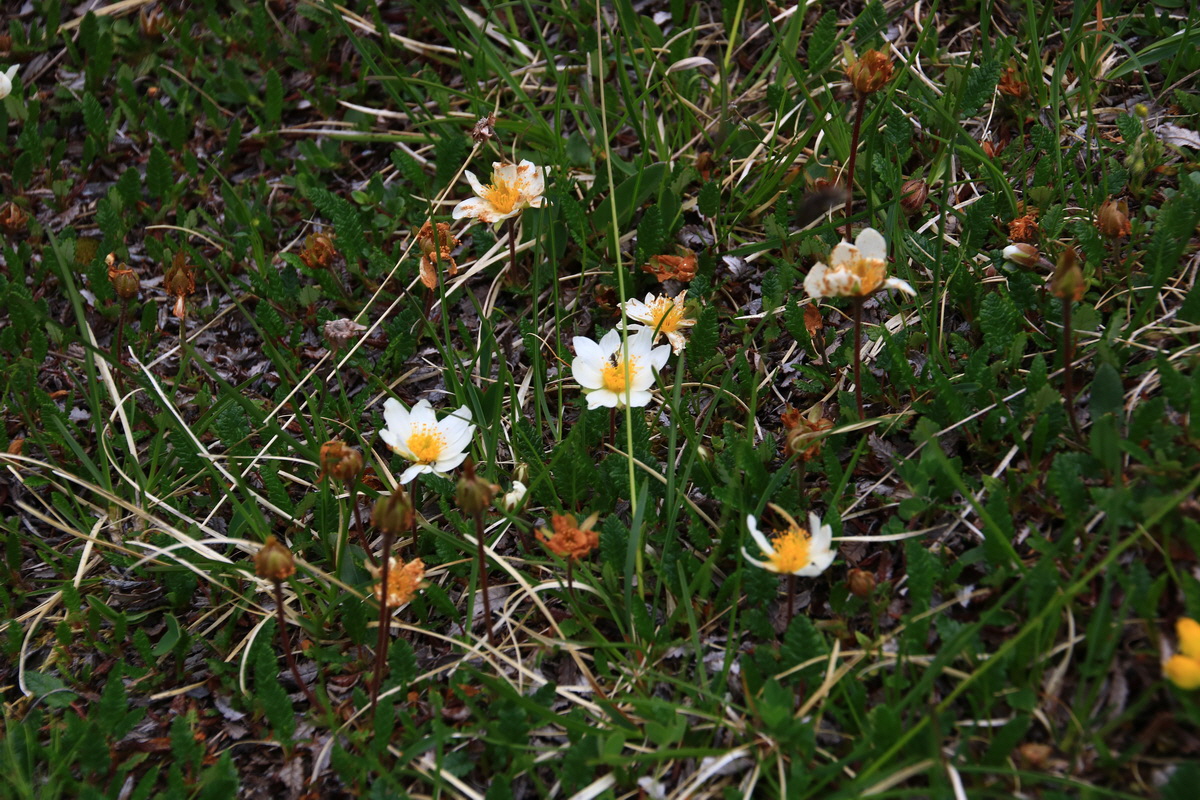 2015_06_11_001727_Bildgr��e �ndern