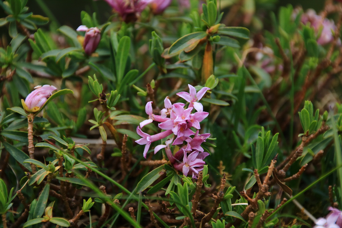 2015_06_11_001741_Bildgr��e �ndern